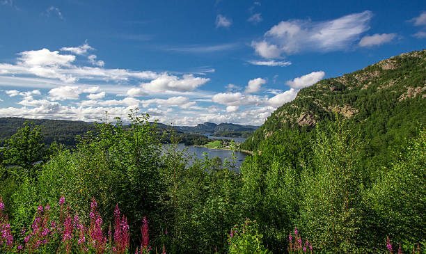 istock Beautiful Nature Norway natural landscape 595116144