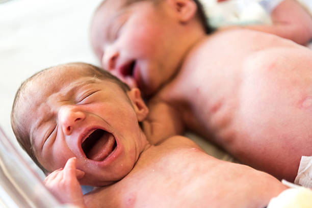 neonato neonati - twin newborn baby baby girls foto e immagini stock