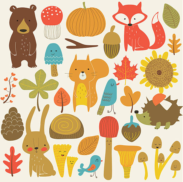 autumnanimalset Autumn forest in vector set with cute forest animals, leaves, mushrooms and birds in cartoon style animal penis stock illustrations