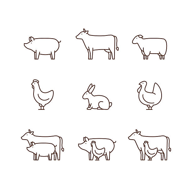 ilustraciones, imágenes clip art, dibujos animados e iconos de stock de conjunto de iconos de contorno de animales de granja. - ganado