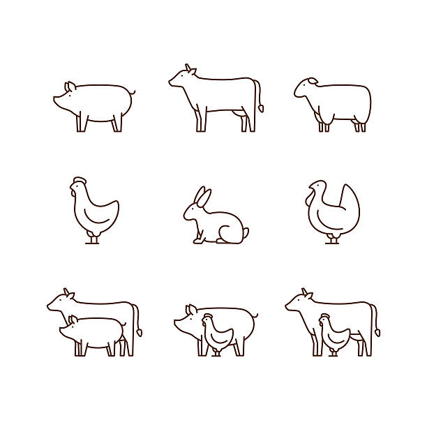 illustrazioni stock, clip art, cartoni animati e icone di tendenza di set di icone del contorno degli animali della fattoria. - pig silhouette animal livestock