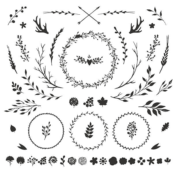 floral elements isolated on white vector set with rustic floral elements isolated on white: flowers, leaves, berries, branches and other hand drawn decorative elements harmonia stock illustrations