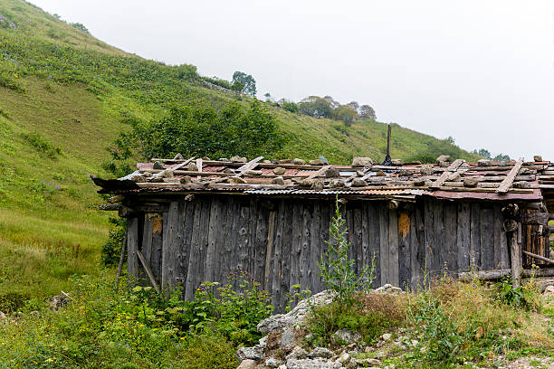 istock beautiful nature on plateau life at mountain 595134472