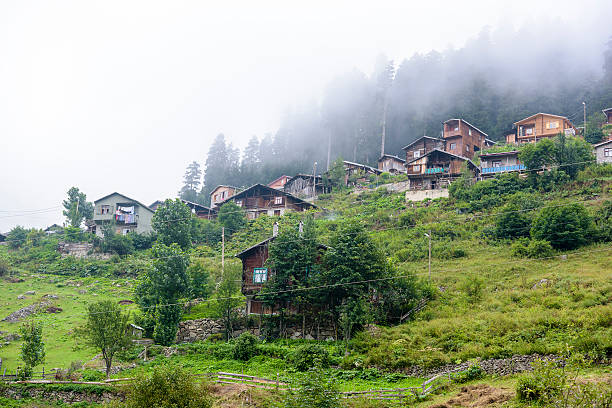 istock beautiful nature on plateau life at mountain 595134662