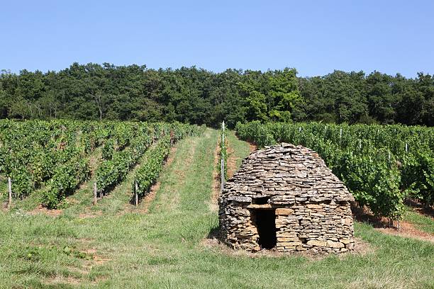 Typical stone hut in the vineyards of Beaujolais, France Old and typical stone hut in the vineyards of Beaujolais, France  sheld stock pictures, royalty-free photos & images