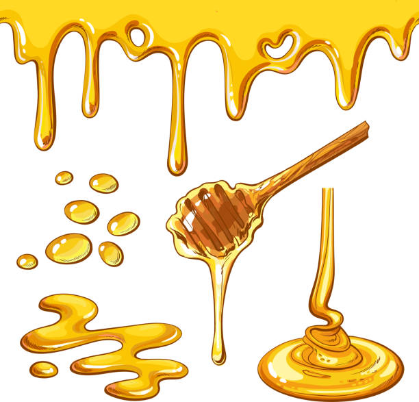 Set of honey drops and blots isolated on white background Set of honey drops and blots, cartoon style vector illustration isolated on white background. Honey dropping and flowing from the dipper, yummy decoration elements honey jar liquid gourmet stock illustrations