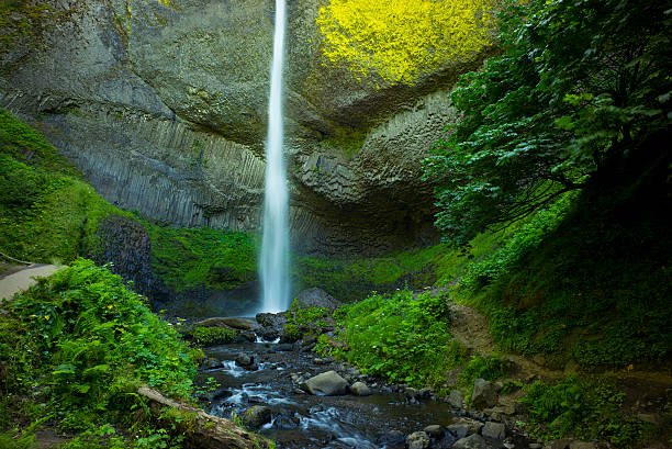 istock Latourell Falls, Columbia River Gorge, Oregon 595144372