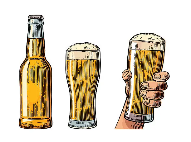 Vector illustration of Beer bottle and hand holding glass.