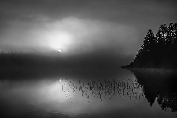 istock Early morning sunrise 595150412