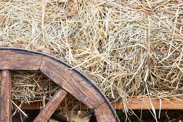 istock Hay on an old cart 595150672