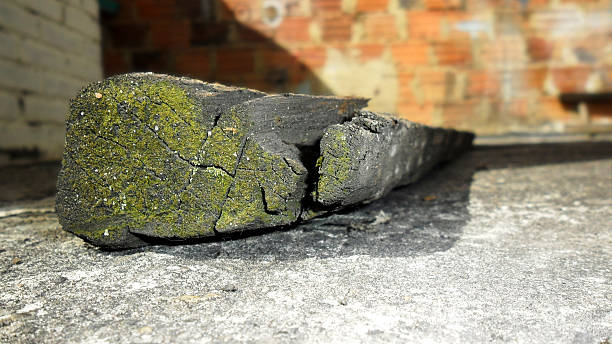 istock Plank of Wood Whit Green Moss 595151722