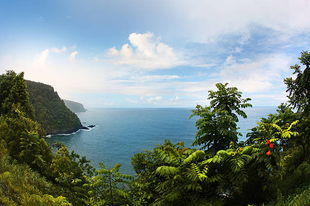 하와이 하나마우이로 가는 길 - hana maui sea scenics 뉴스 사진 이미지