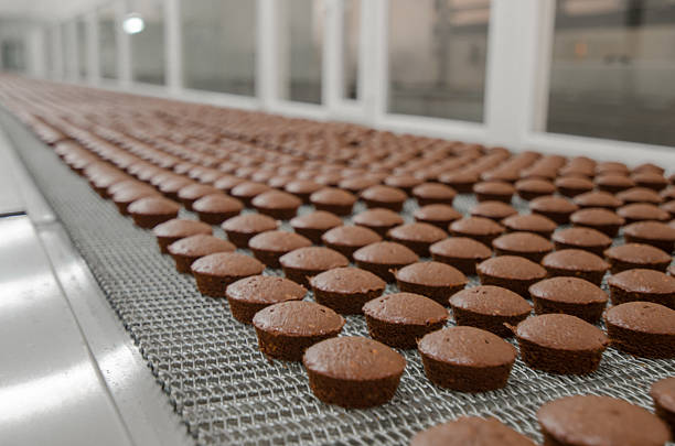 brownie cocinar planta de producción - biscuit brown cake unhealthy eating fotografías e imágenes de stock