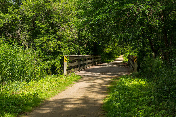 istock Summer Bike Trail 595154284