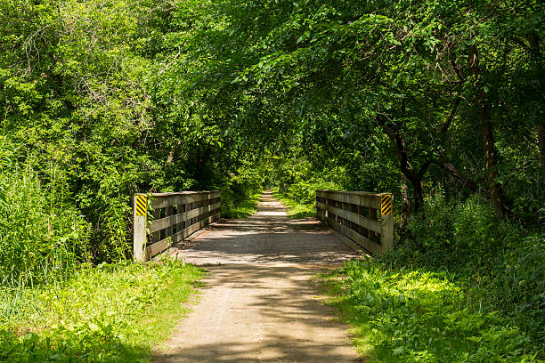 istock Summer Bike Trail 595154398