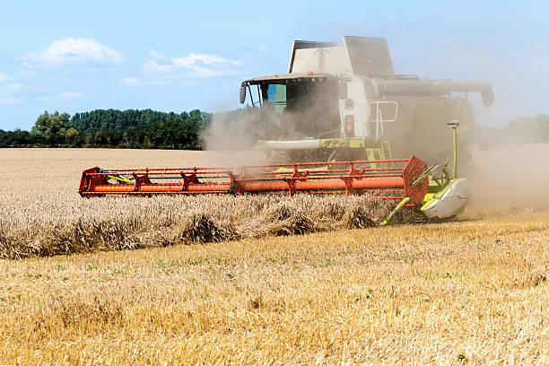 istock combine harvester with dust on the  field 595154464
