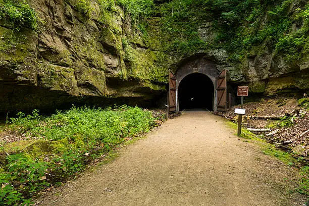 Photo of Bike Trail Tunnel