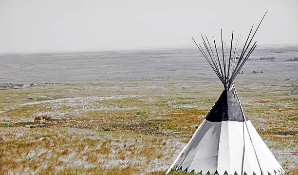istock Prairie teepee and buffalo grassland view 595156464