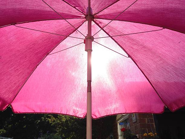 Pink / Purple Umbrella Sunshade