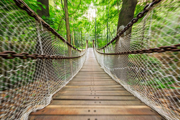 istock Motion blur suspension bridge in the forest 595158966