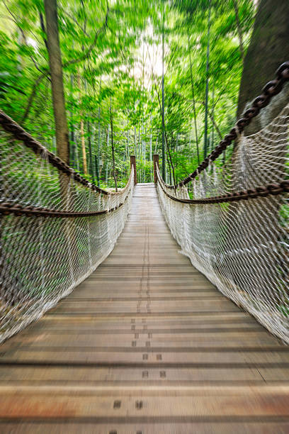 istock Motion blur suspension bridge in the forest 595159034