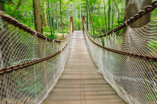 istock Motion blur suspension bridge in the forest 595159058