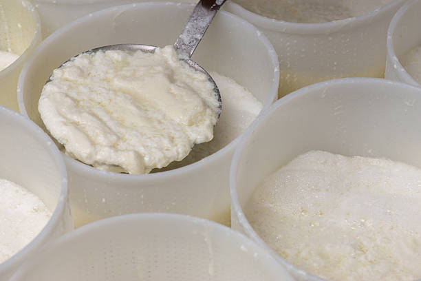 istock preparation of ricotta in a diary 595160122