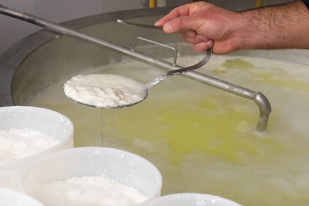 istock preparation of ricotta in a diary 595160164