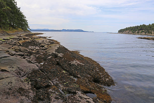 istock Gabriola Island Bay 595160374