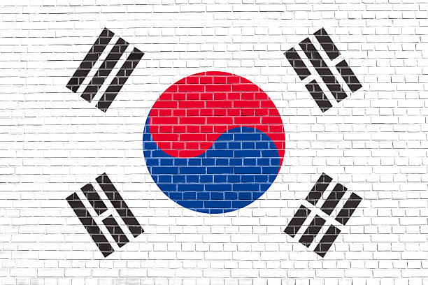 Flag of South Korea on brick wall texture background. South Korean national flag.