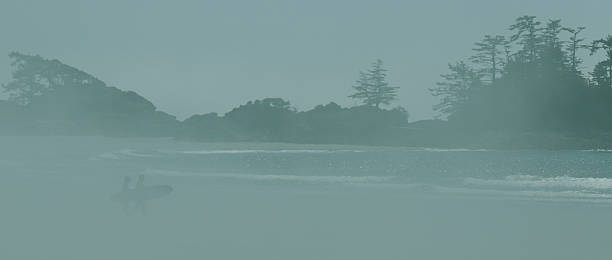 istock Tofino Surfers on Green 595161112