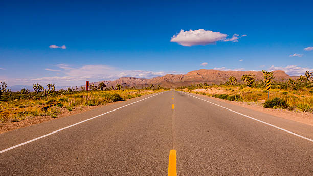 istock Long and empty lonesome road through Arizona 595161698