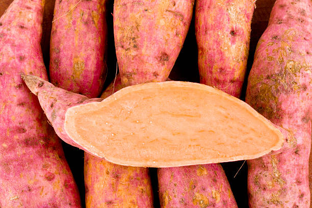 patate dolci arancioni biologiche e patate mezzo dolce - carbohydrate freshness food and drink studio shot foto e immagini stock
