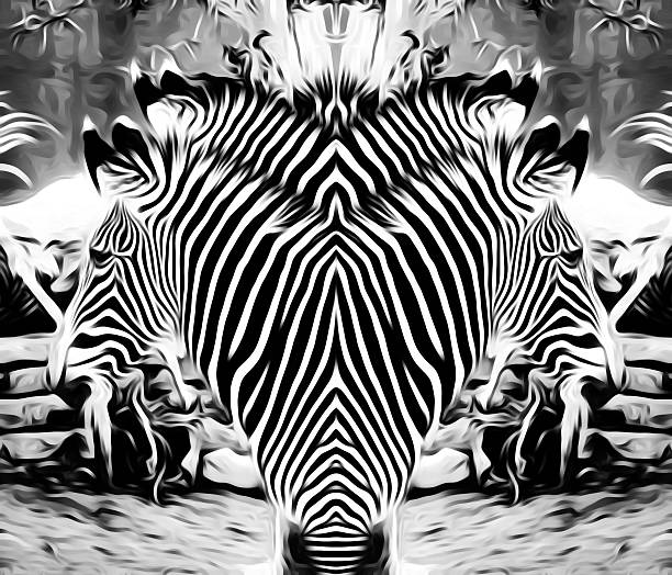 istock drawing and painting zebras in black and white 595162680