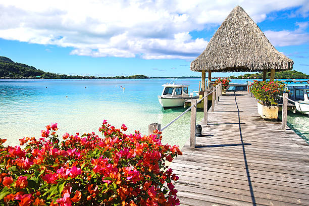 flores de bora bora taiti - french polynesia pier lagoon nautical vessel - fotografias e filmes do acervo