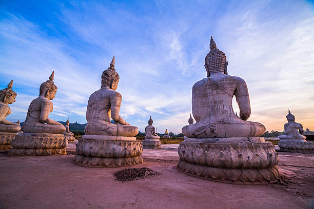 istock many Buddha statues on the field 595321526