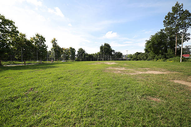 istock Field grass landscape with sky background 595322240