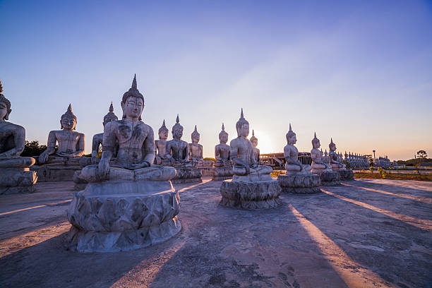 istock many Buddha statues on the field 595322892