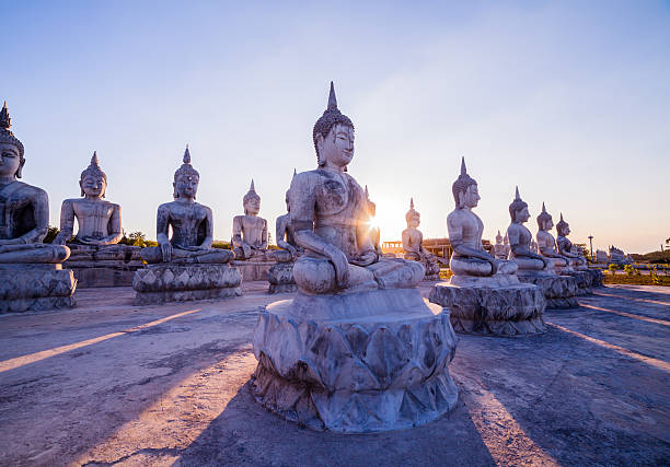 istock many Buddha statues on the field 595323088