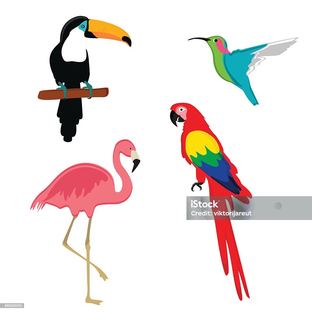 Exotic birds vector Vector illustration pink flamingo, macaw parrot, toucan and humming bird. Exotic bird set. Tropical Climate stock vector