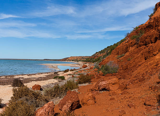 istock Red Bluff near Monkey Mia with White Clouds 595326456