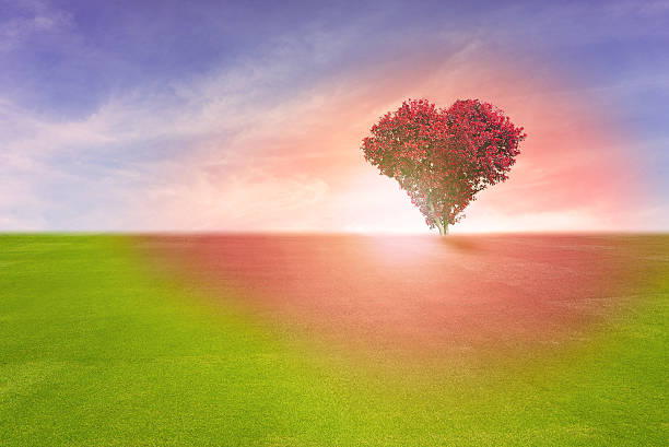 istock Power of love 595327466