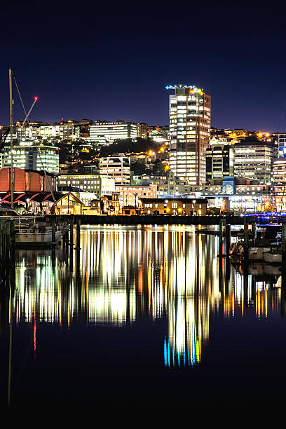 istock Wellington New Zealand 595327762