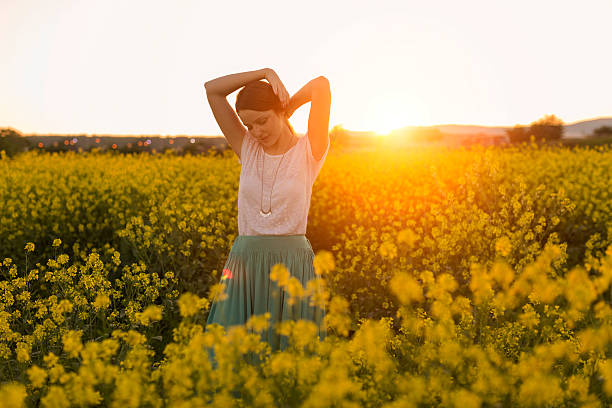 istock Sunset in the yellow field 595328204