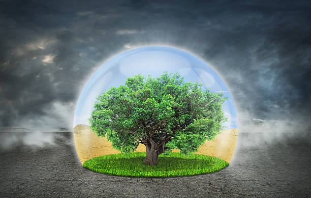 istock Concept of life. 595328550