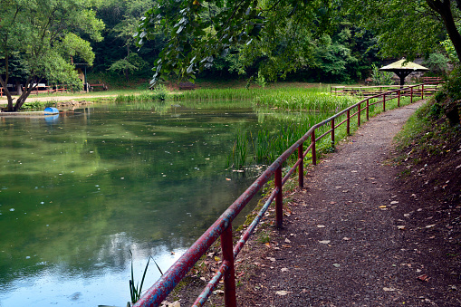 Little pond at Vondelpark landscape on sunny summer day in Amsterdam, Netherlands