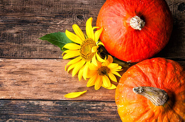 istock Two pumpkins and sunflower on wooden table. Copyspace 595339096