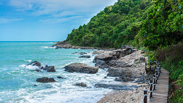 istock Wooden walkway and viewpoint 595339546