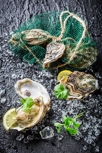 istock Delicious oysters on black rock with lemon 595340934
