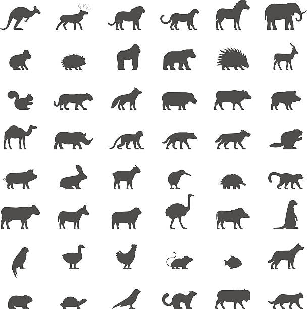 schwarze silhouetten von australischen, afrikanischen, amerikanischen und anderen ani - marsupial animal vertical kangaroo stock-grafiken, -clipart, -cartoons und -symbole